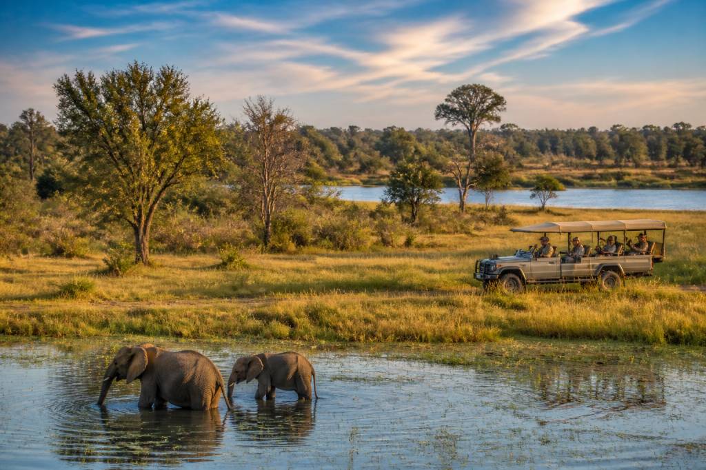 Voyage Botswana : guide complet pour créer un itinéraire sur mesure avec Hors Pistes afrique australe Voyage Botswana : guide complet pour créer un itinéraire sur mesure avec Hors Pistes afrique australe